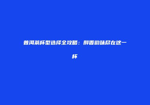 普洱茶杯型选择全攻略：醇香韵味尽在这一杯