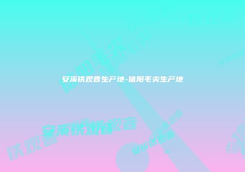 安溪铁观音生产地-信阳毛尖生产地