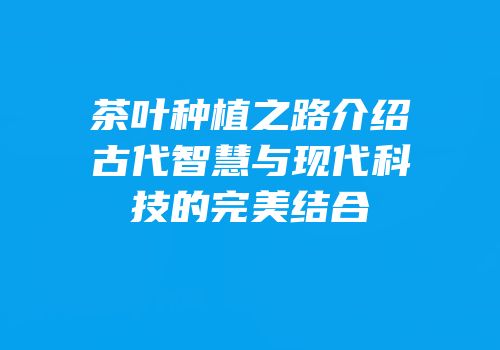 茶叶种植之路介绍古代智慧与现代科技的完美结合