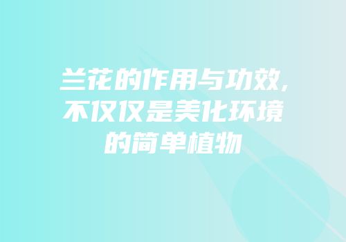 兰花的作用与功效,不仅仅是美化环境的简单植物