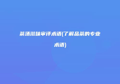 茶汤滋味审评术语(了解品茶的专业术语)