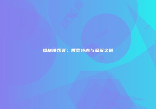 揭秘铁观音：香型特点与品鉴之道