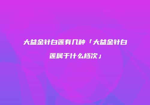 大益金针白莲有几种「大益金针白莲属于什么档次」