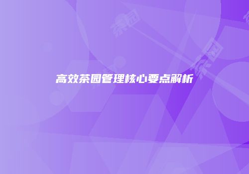 高效茶园管理核心要点解析