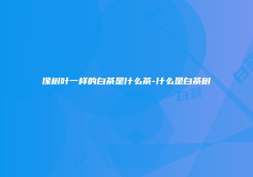 像树叶一样的白茶是什么茶-什么是白茶树