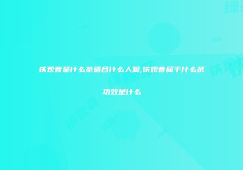 铁观音是什么茶适合什么人喝,铁观音属于什么茶功效是什么