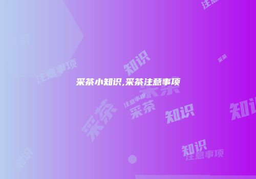 采茶小知识,采茶注意事项