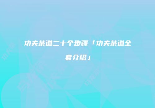 功夫茶道二十个步骤「功夫茶道全套介绍」