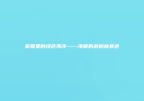 茶园里的绿色海洋——浓郁的茶树林景色