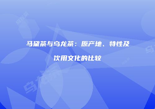 马黛茶与乌龙茶：原产地、特性及饮用文化的比较