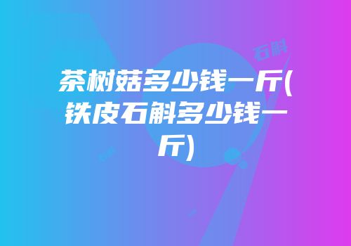 茶树菇多少钱一斤(铁皮石斛多少钱一斤)