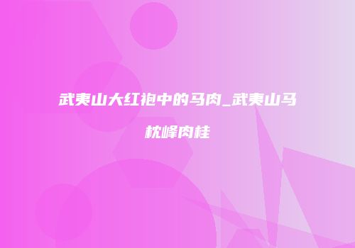 武夷山大红袍中的马肉_武夷山马枕峰肉桂