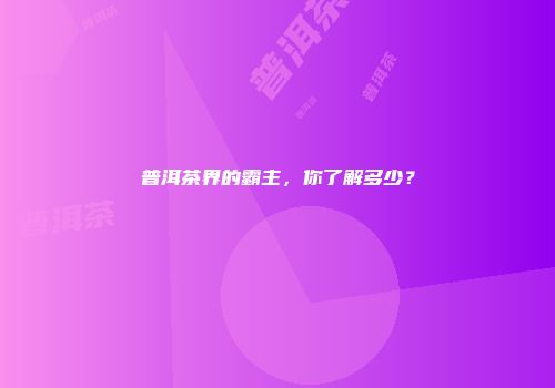 普洱茶界的霸主，你了解多少？