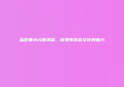 品尝黄小元普洱茶，感受传统茶文化的魅力