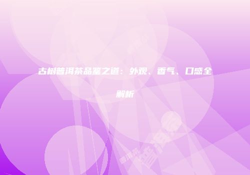 古树普洱茶品鉴之道：外观、香气、口感全解析