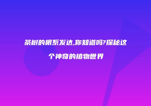 茶树的根系发达,你知道吗?探秘这个神奇的植物世界