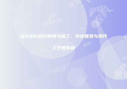 湖北农村茶叶种植与加工：传统智慧与现代工艺的交融