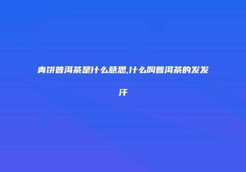 青饼普洱茶是什么意思,什么叫普洱茶的发发汗
