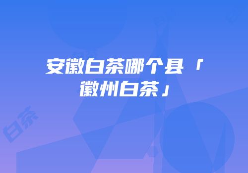 安徽白茶哪个县「徽州白茶」