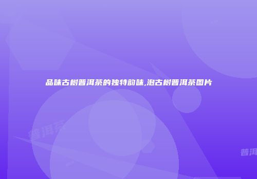 品味古树普洱茶的独特韵味,泡古树普洱茶图片