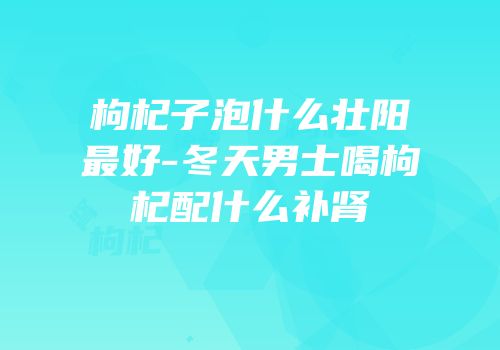 枸杞子泡什么壮阳最好-冬天男士喝枸杞配什么补肾