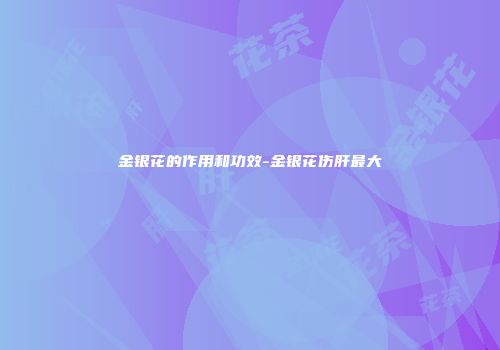 金银花的作用和功效-金银花伤肝最大