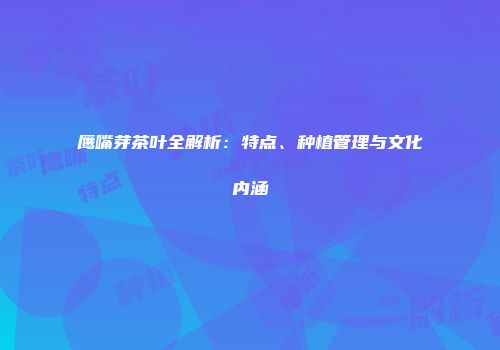 鹰嘴芽茶叶全解析：特点、种植管理与文化内涵