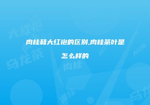 肉桂和大红袍的区别,肉桂茶叶是怎么样的