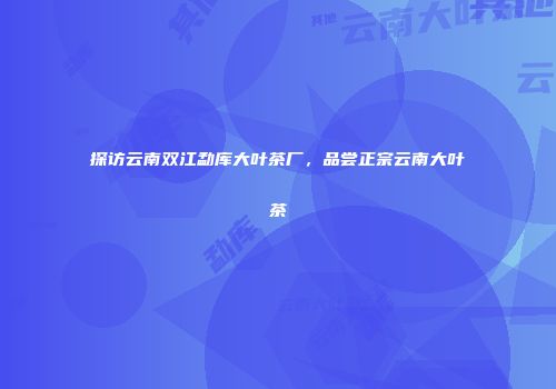 探访云南双江勐库大叶茶厂，品尝正宗云南大叶茶