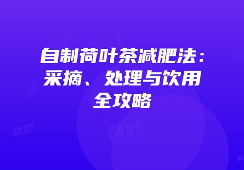 自制荷叶茶减肥法：采摘、处理与饮用全攻略