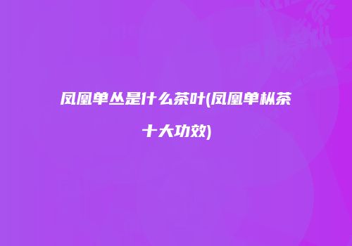凤凰单丛是什么茶叶(凤凰单枞茶十大功效)