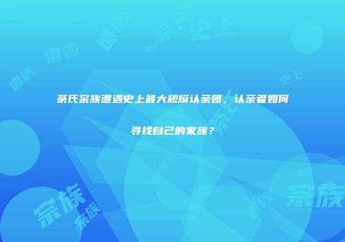 茶氏宗族遭遇史上最大规模认亲团，认亲者如何寻找自己的家族？