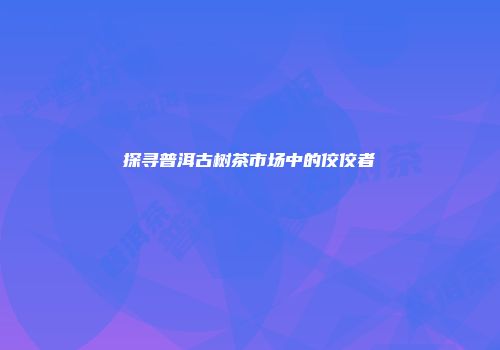 探寻普洱古树茶市场中的佼佼者