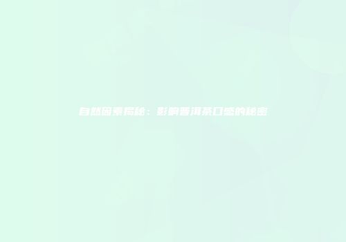 自然因素揭秘：影响普洱茶口感的秘密
