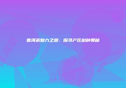 普洱茶魅力之源：探寻产区树种奥秘