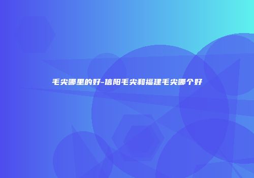 毛尖哪里的好-信阳毛尖和福建毛尖哪个好