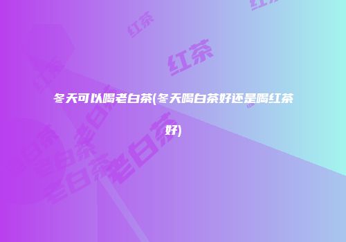 冬天可以喝老白茶(冬天喝白茶好还是喝红茶好)