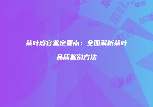 茶叶感官鉴定要点：全面解析茶叶品质鉴别方法