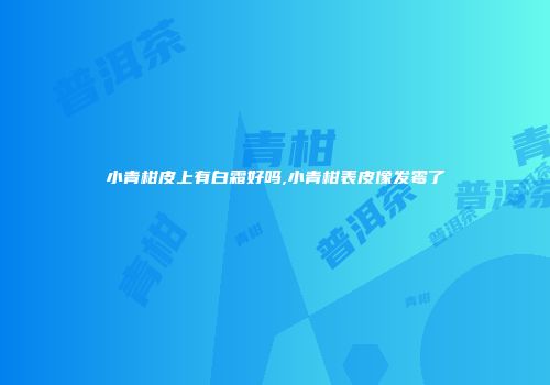 小青柑皮上有白霜好吗,小青柑表皮像发霉了