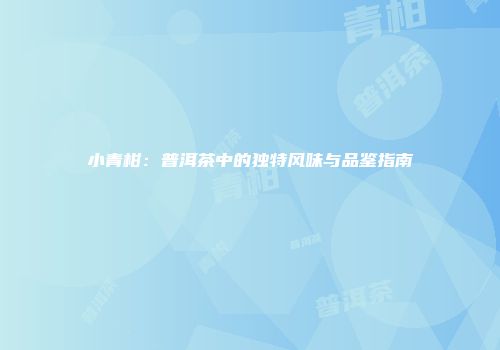 小青柑：普洱茶中的独特风味与品鉴指南
