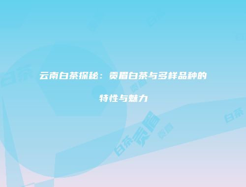 云南白茶探秘：贡眉白茶与多样品种的特性与魅力