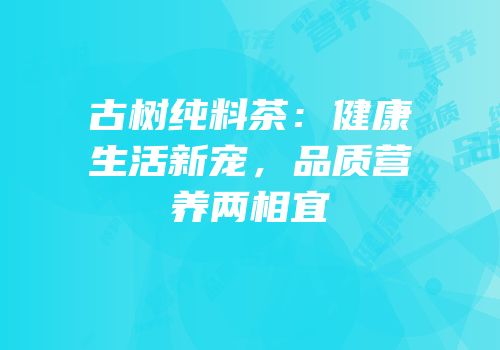 古树纯料茶：健康生活新宠，品质营养两相宜