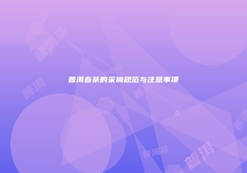 普洱春茶的采摘规范与注意事项