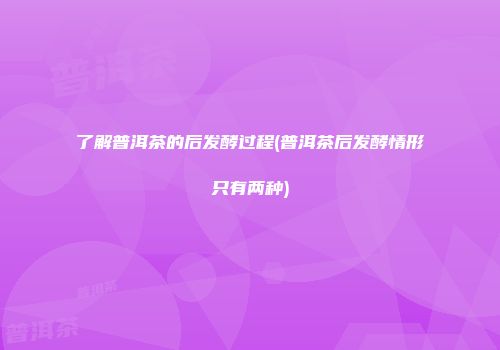 了解普洱茶的后发酵过程(普洱茶后发酵情形只有两种)