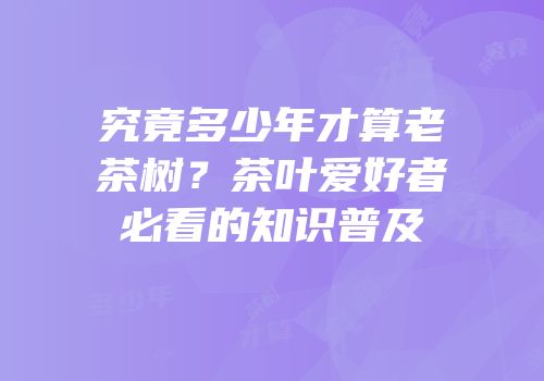 究竟多少年才算老茶树？茶叶爱好者必看的知识普及