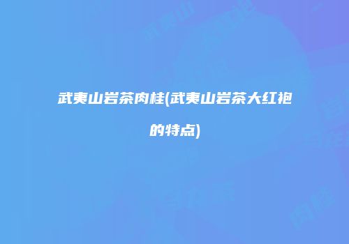 武夷山岩茶肉桂(武夷山岩茶大红袍的特点)