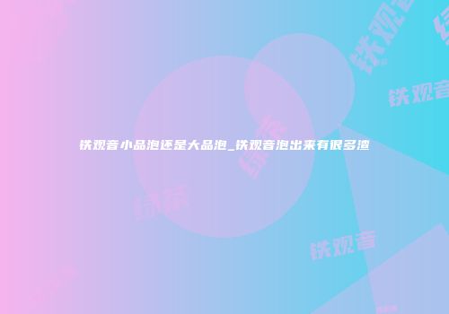 铁观音小品泡还是大品泡_铁观音泡出来有很多渣