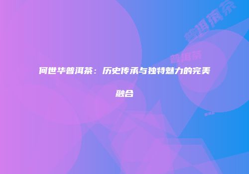 何世华普洱茶：历史传承与独特魅力的完美融合