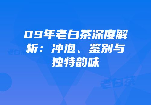 09年老白茶深度解析：冲泡、鉴别与独特韵味