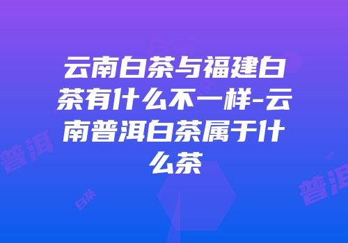 云南白茶与福建白茶有什么不一样-云南普洱白茶属于什么茶